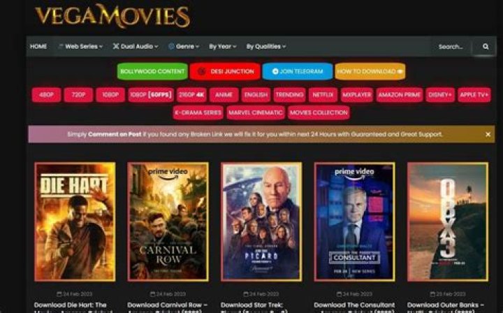 Exploring the World of Vegamovies Fans Com