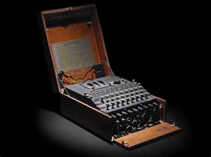 Unveiling the Enigma: Suzanne A.D. Wilkinson